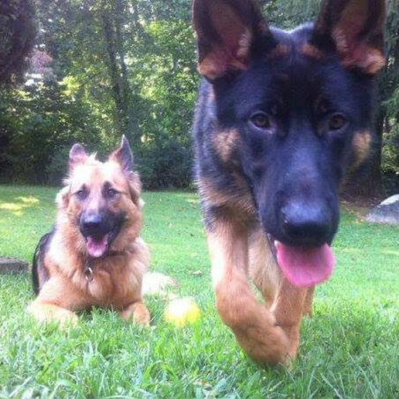 Meet your Posher, Karen - Picture 7 of 7